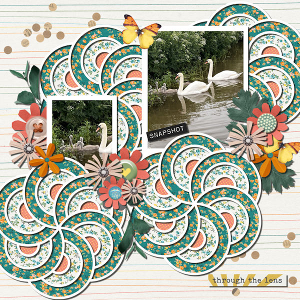 Memory_Swans_600