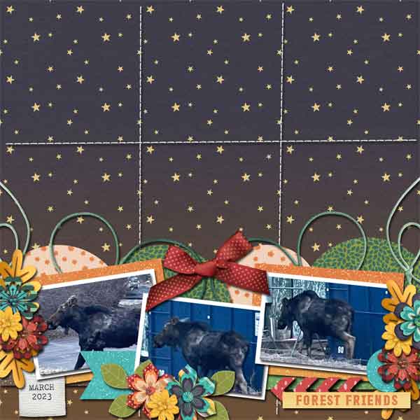 Moose-at-Riverside-Web-SS