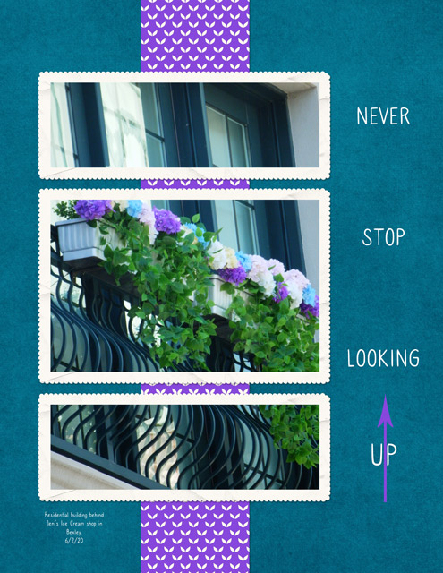 Never-Stop-Looking-Up1
