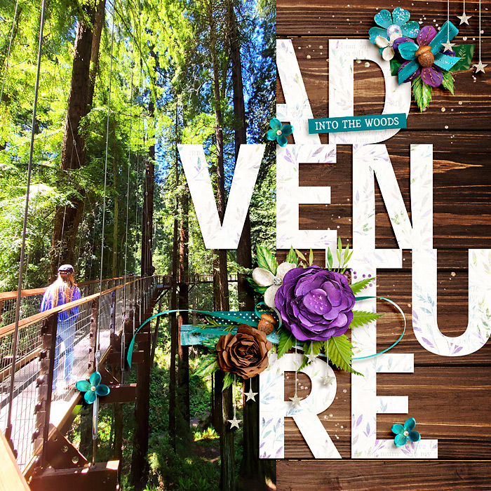 RedwoodAdventure