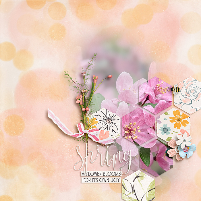 SSDJ13_immaculeah