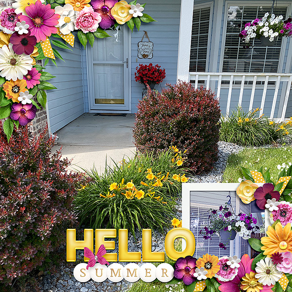 SUMMER-FLOWERS-HELLO