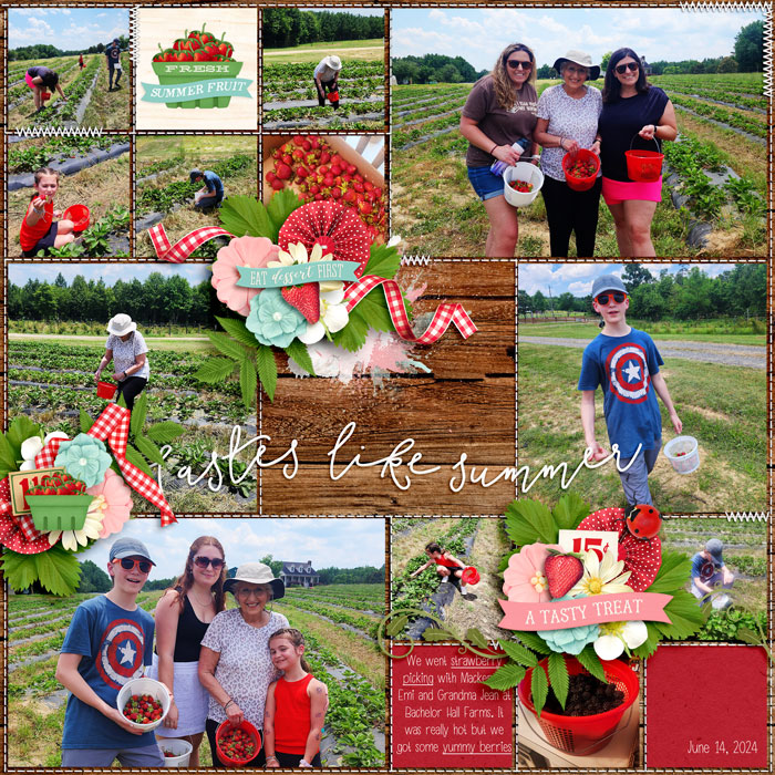 StrawberryPickin24web