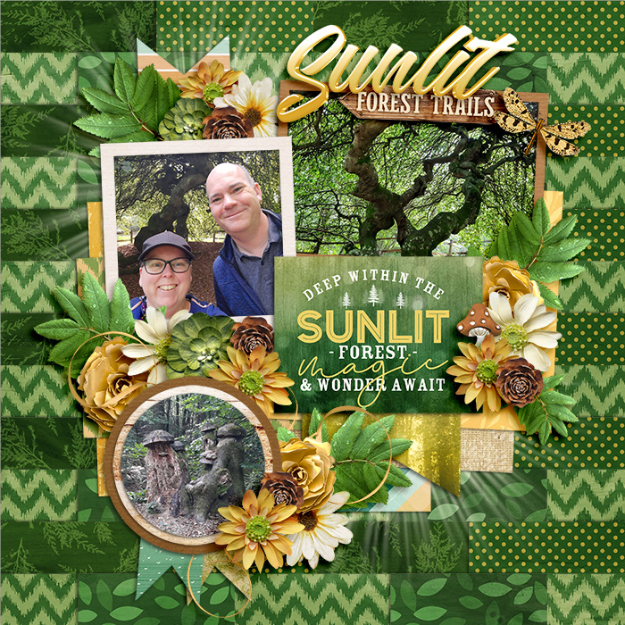 SunlitForestTrailsweb
