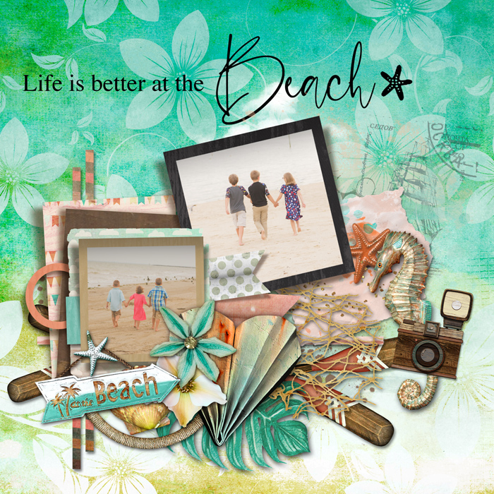 TNP-beachside-cheryl-LO1