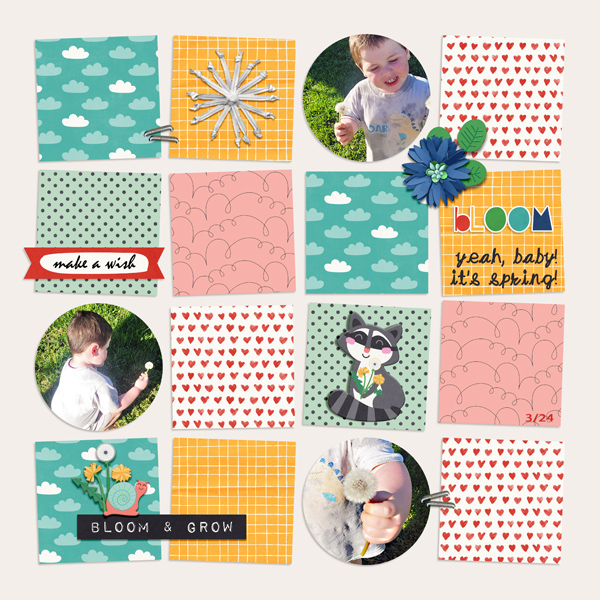 caelian-dandelion-small