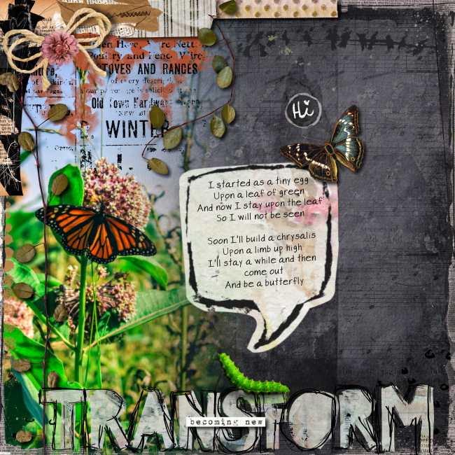 catepillar_becomes_butterfly