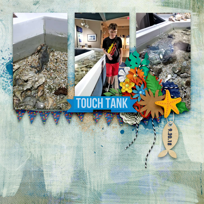 cmg-ocean-aquarium-