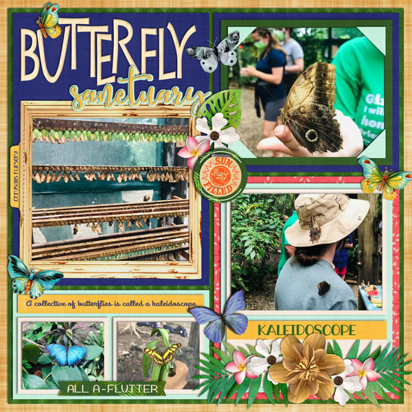 cschneider-UA7pg1_Belize_ButterflySanctuary_web