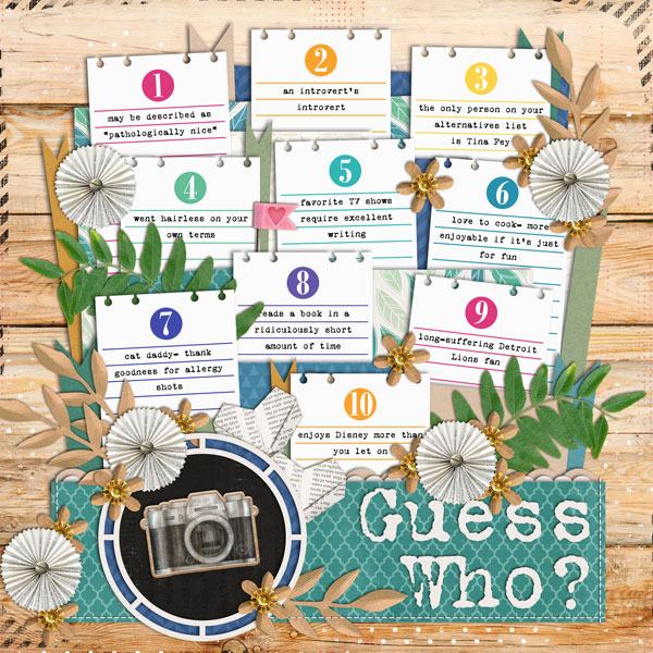 cschneider-set295pg2_guesswho_web