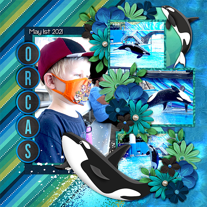 h-orcas-521