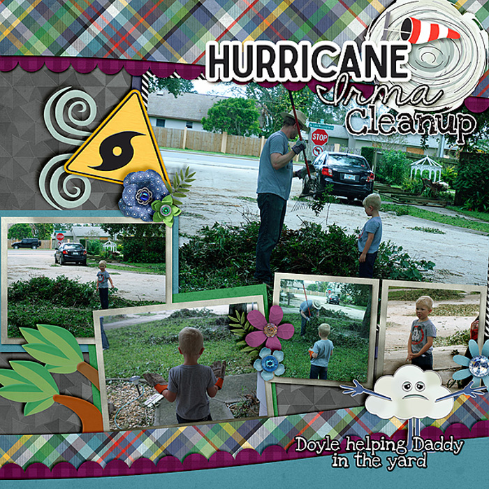 irma-cleanup
