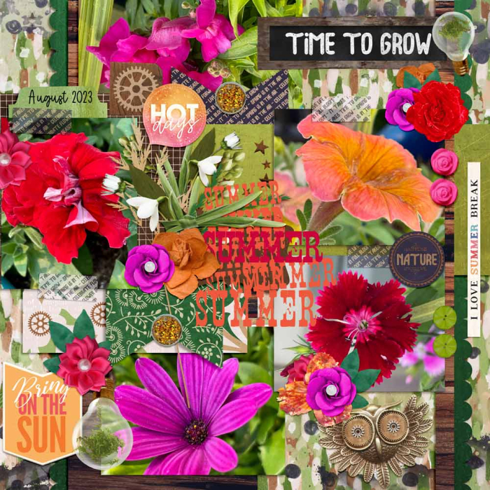 Neighbourhood Gardens