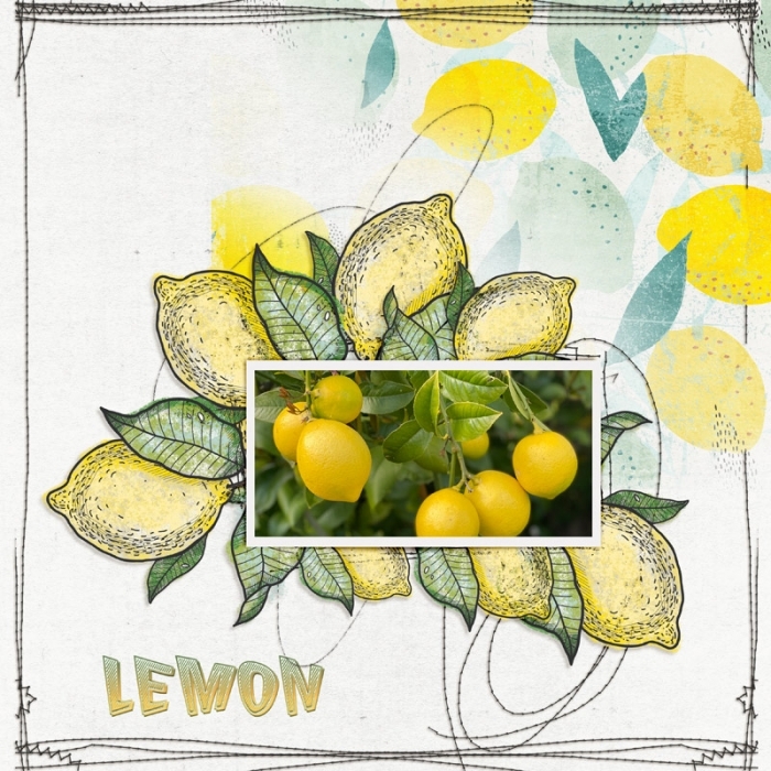Lemon