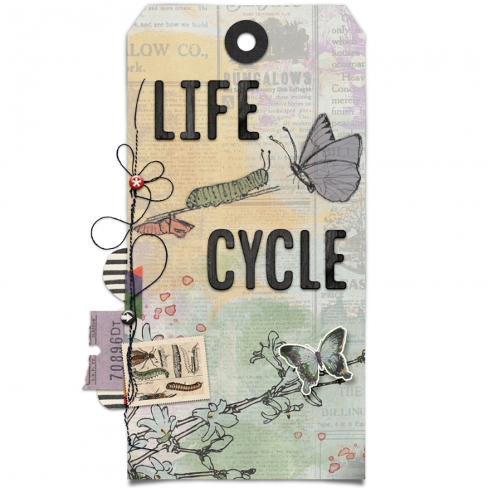 Life cycle