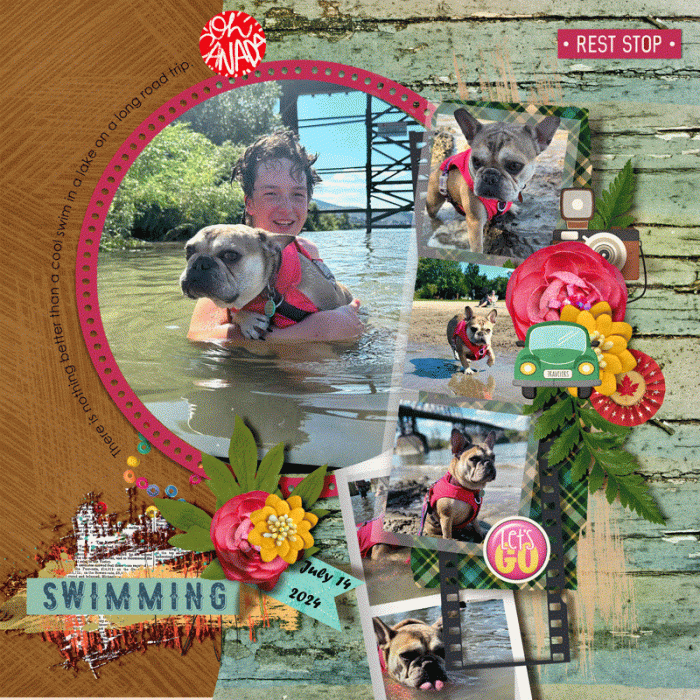 Swimming Stella