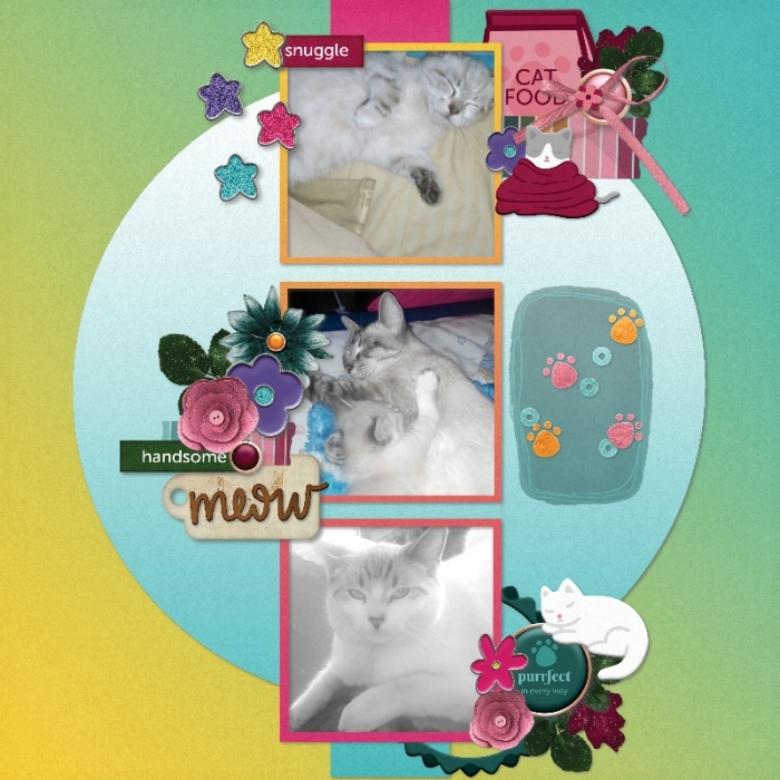 My kitties