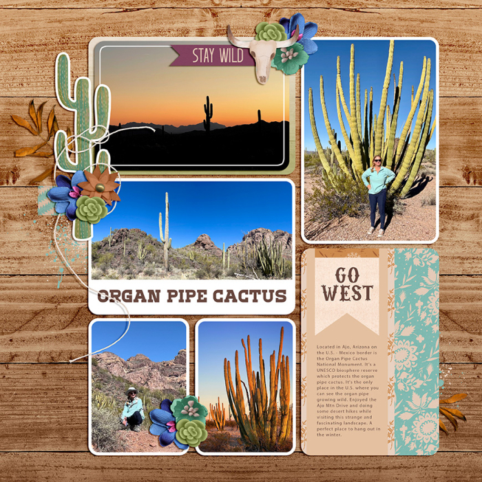 ORGANPIPE1