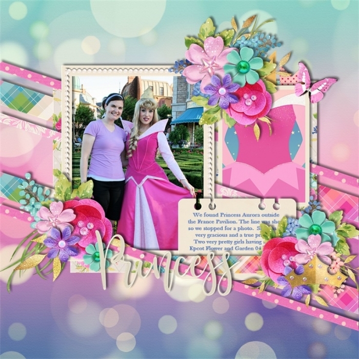 Princess_meet1