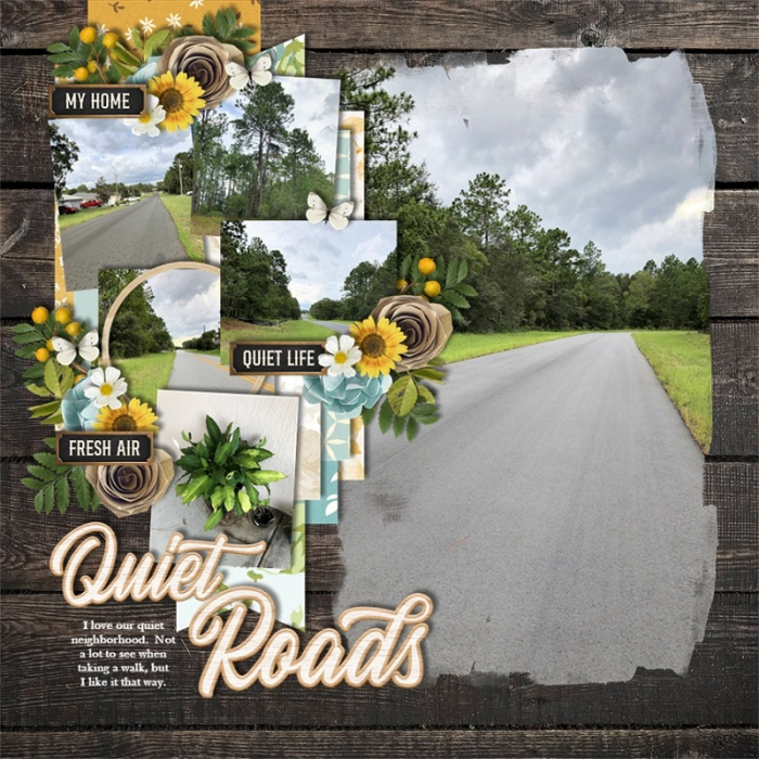 Quiet_Roads
