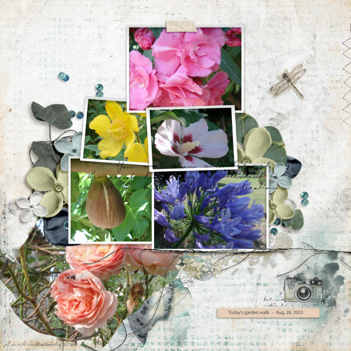 Walk in my garden