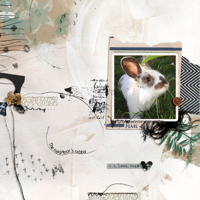 The neighbor's rabbit