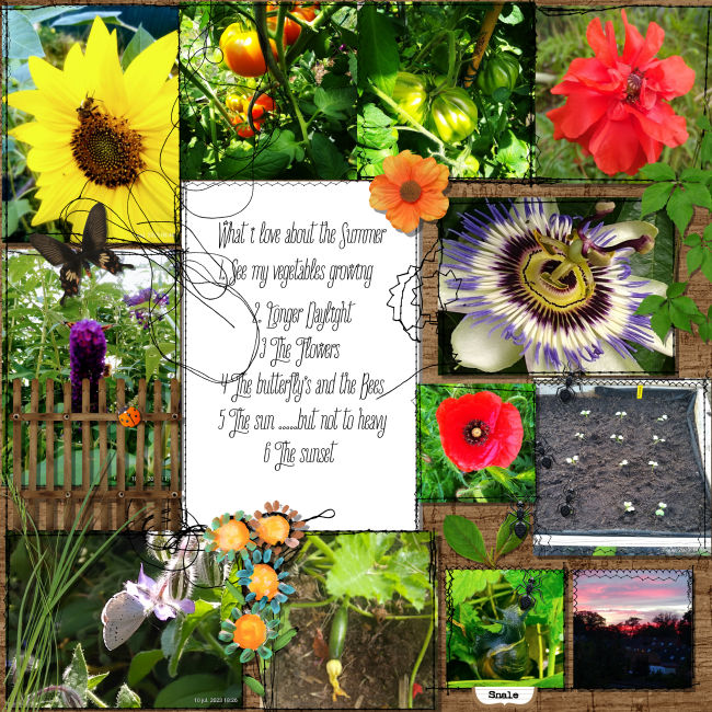 my_little_garden