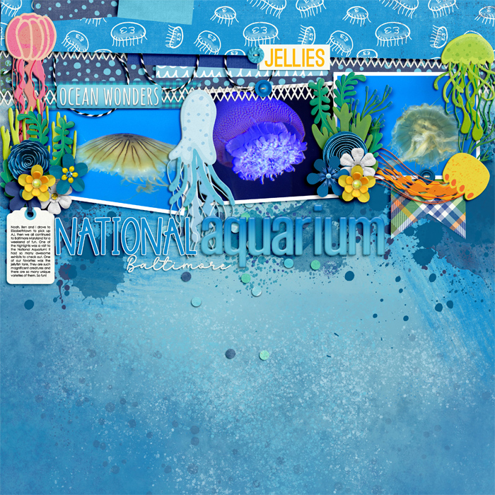 nationalaquariumWEB