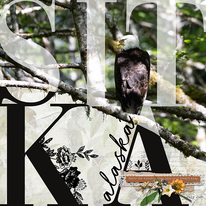 sitka