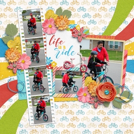 19-4-13-life-is-a-ride.jpg