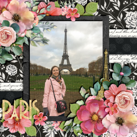 2018_11-Paris_Eiffel-Tower.jpg