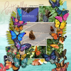 2019-11-Buterfly-Habitat-copy.jpg