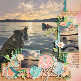 2020_8_Lake_Bliss_copy.jpg