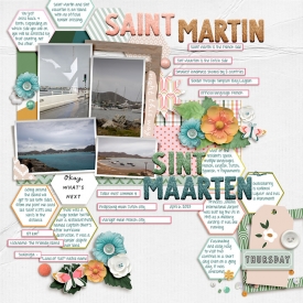 2023-04-06-StMartin-History-copy.jpg