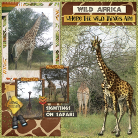 2023-05-07_WildAfrica.jpg