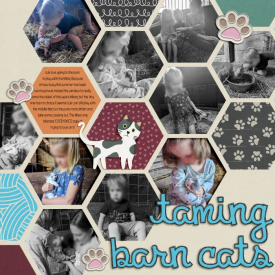 2023-06-07_-_Taming_Barn_Cats.jpg