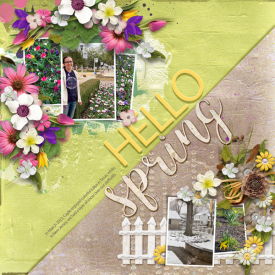 2023_03-Hello-Spring.jpg