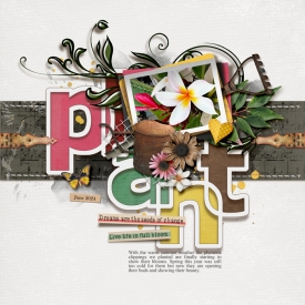 2024-07-07-Wordle-web.jpg