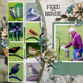 2024_07-Feed-the-Birds.jpg