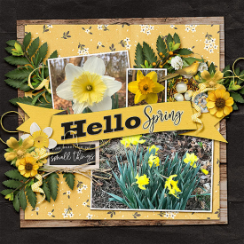 20_03-Hello-Spring.jpg