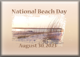 ATC-2023-026-National-Beach-Day.jpg