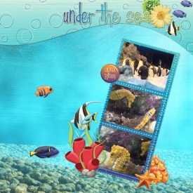 Aquarium5.jpg