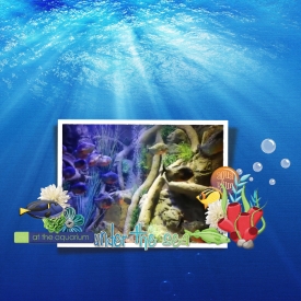 Aquarium6.jpg