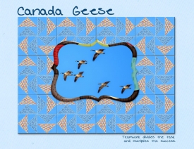 August-23---Perfection----Canada-Geese.jpg