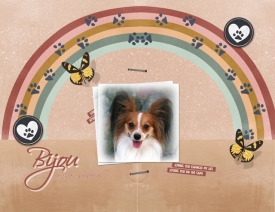 August-27---Memory---Bijou.jpg