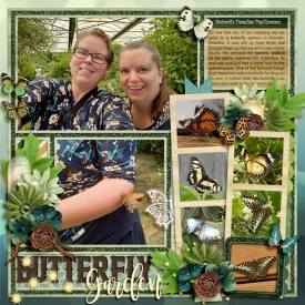 ButterflyGardenweb.jpg