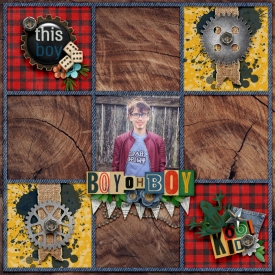 Checkers4.jpg