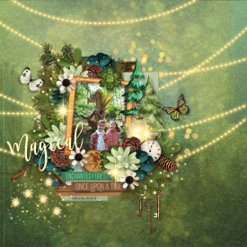 Enchanted_forest_1_.jpg
