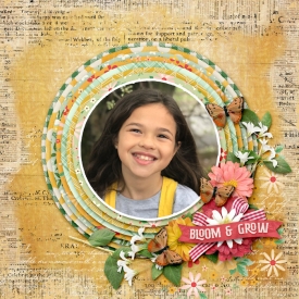 Gallery-Bloom-and-Grow1.jpg
