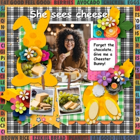 Gallery-Cheester-Bunny.jpg